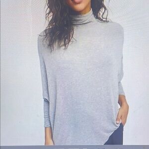 Gray Turtleneck Women's Sweater